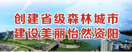 第一次被c的好爽视频创建省级森林城市 建设美丽怡然资阳